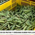 Precio por las nubes: venden el kilo de alverja a 14 soles tras huaicos