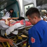 Al menos 27 niños fueron mordidos por perros en lo que va del 2026: INSN advierte daños irreversibles