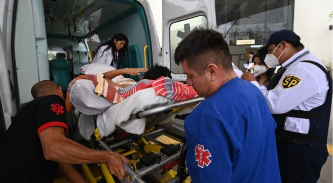 Al menos 27 niños fueron mordidos por perros en lo que va del 2026: INSN advierte daños irreversibles