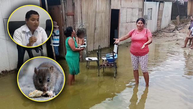Muertes por leptospirosis aumentan: 3 fallecidos en Piura por enfermedad | VIDEO