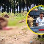 Asesinan a influencer tras recibir falsa oferta de trabajo en Honduras