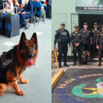 Tras 8 años de servicio, Bastian pasa al retiro: el héroe canino del aeropuerto de Lima | VIDEO