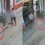 Hombre mata a perrito Mailo al lanzarle una piedra: cámaras captaron el ataque