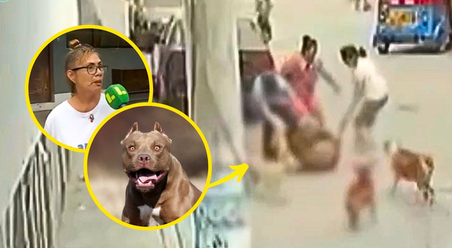 Pitbull que desfiguró el rostro a hombre le arranca la oreja a otro perro | VIDEO