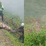 Perrito se mantuvo dos días junto a los cadáveres de sus dueños: pareja falleció en accidente en Yauyos