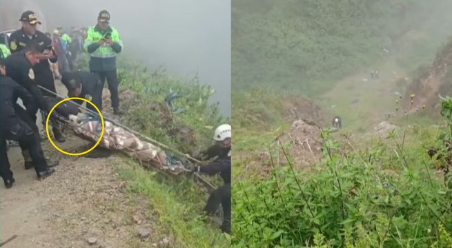 Perrito se mantuvo dos días junto a los cadáveres de sus dueños: pareja falleció en accidente en Yauyos