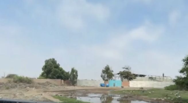 Pisco: dos trabajadores mueren tras caer en fosas que limpiaban con amoníaco