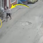 Sujeto asesina con una piedra a perrito que le ladró en la calle en Nazca