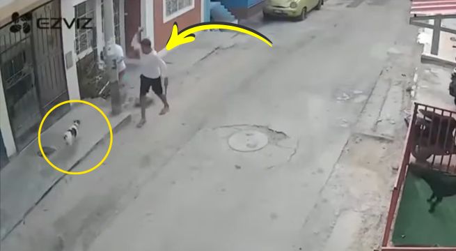Sujeto asesina con una piedra a perrito que le ladró en la calle en Nazca