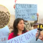 Moscas invaden hogares en Carabayllo: vecinos exigen acción urgente