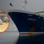 ¿El Hantavirus es una nueva amenaza? Mitos y verdades tras brote en crucero