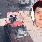 Joven mujer queda grave tras brutal atropello: conductor permanece en libertad