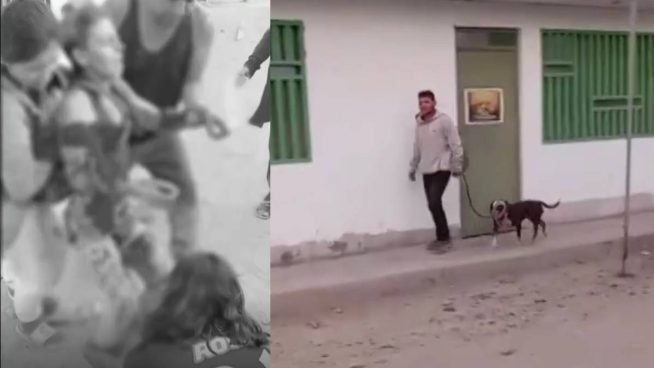 Perro pitbull ataca a mujer en Comas y queda gravemente herida
