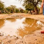 Perú registra cifra histórica de muertes por leptospirosis en lo que va del 2026