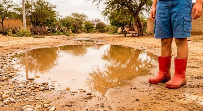 Perú registra cifra histórica de muertes por leptospirosis en lo que va del 2026