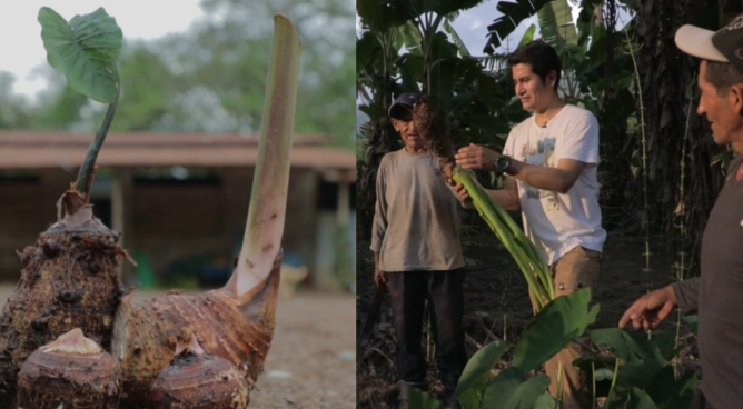 "La Pituca": la joya oculta de la selva del VRAEM | VIDEO