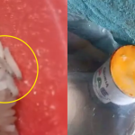Escolares habrían recibido leche y arroz en mal estado en programa del Midis en Piura