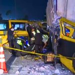 Trágico accidente deja tres muertos en plena Panamerica Sur: chofer habría 