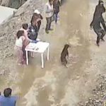 Huaycán: reunión vecinal termina en balacera y deja cinco heridos tras ataque de sicarios