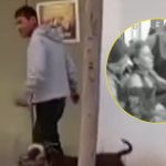 Comas: mujer queda internada tras brutal ataque de pitbull en Collique