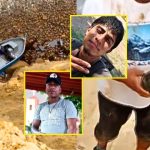 Encuentran una zapatilla cerca de la zona donde desaparecieron dos pescadores en Paracas