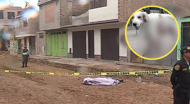 Asesinan a obrero mientras construía pistas en Lurigancho: recibió cuatro disparos