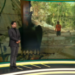 Periodistas de Latina Noticias relatan cómo se vivió el terremoto en Venezuela | VIDEO