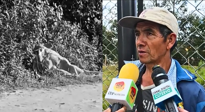 Padre de familia encuentra sin vida a su hija embarazada cerca de su casa