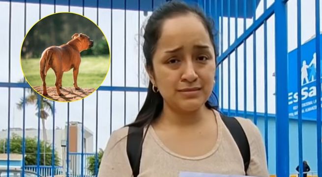 Niño de 4 años es hospitalizado tras brutal ataque de perro pitbull