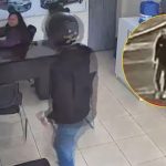 Sentada en su escritorio: sicario ingresó a escuela de manejo y asesinó a joven trabajadora en Ate