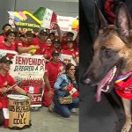 Bomberos peruanos del equipo USAR volvieron tras misión en Venezuela | VIDEO