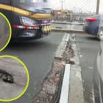 Alerta en el Centro de Lima: Puente Santa Rosa está lleno de grietas en pista, vereda y barandas
