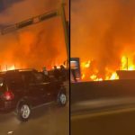 Se incendia vivero municipal en Los Olivos: Bomberos atienden la emergencia | VIDEO