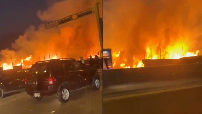 Se incendia vivero municipal en Los Olivos: Bomberos atienden la emergencia