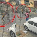 Sujeto persigue y agrede a una escolar que iba a su colegio: Vecinos reaccionan y lo golpean