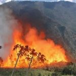 Cusco: tres incendios forestales permanecen activos en Calca y La Convención