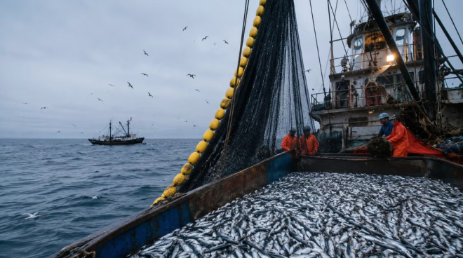 Fenómeno El Niño: gobierno declara en emergencia los subsectores pesca y acuicultura