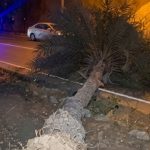 Fuertes vientos derriban árboles y levantan calaminas en Lima Este