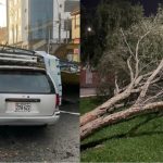 Lluvias y vientos en Tacna provocan cortes de luz y caída de árboles