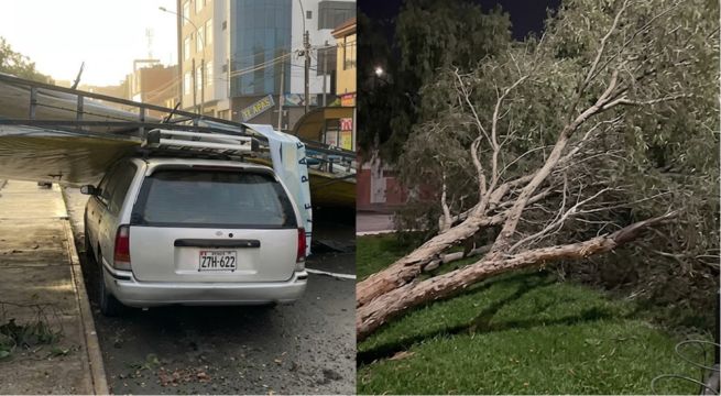 Lluvias y vientos en Tacna provocan cortes de luz y caída de árboles