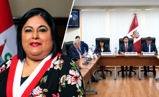 Comisión de Ética declara procedente denuncia contra diputada Milagros Santana