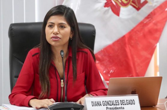 Keiko Fujimori señala que Diana Gonzáles "cumple con los requisitos" para dirigir Pronabec