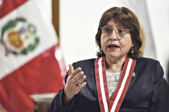 Delia Espinoza ante Congreso sobre pedido de facultades: “No veo claridad en el proyecto” | VIDEO