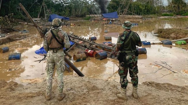 Reserva Nacional Tambopata recupera el 90% de las áreas afectadas por minería ilegal