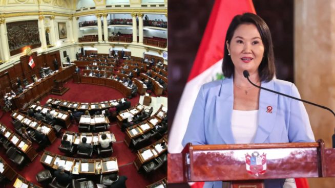 Comisión de Constitución de la Cámara de Diputados convocó a una audiencia para discutir facultades legislativas: ¿cuándo será?