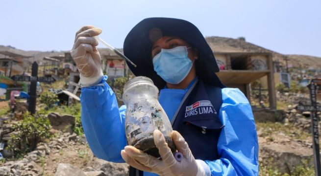Minsa emite alerta epidemiológica nacional ante inminente impacto sanitario del fenómeno El Niño