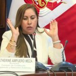 Senadores justifican debate de siete puntos no aprobados por la Cámara de Diputados | VIDEO