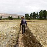 Fenómeno El Niño amenaza la campaña agrícola 2027 por falta de lluvias en el sur