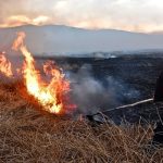 Incendio en Los Uros fue controlado tras afectar más de 200 hectáreas en Puno