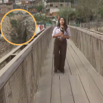 Huarochirí: puente Cashahuacra en peligro por posible activación de quebrada | VIDEO
